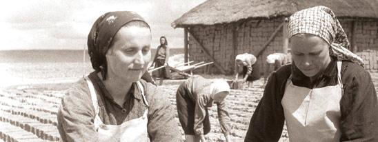 Саман: используй то, что под рукой...