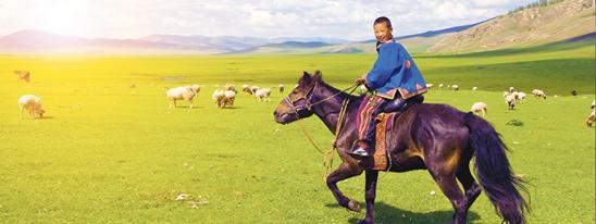 7 вопросов - 7 ответов