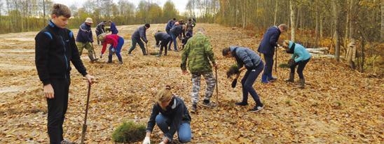 Свалка превращается... в молодой лес