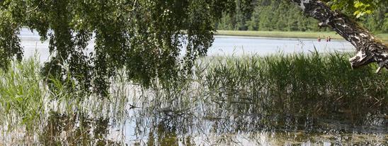 В поисках сокровищ: озеро СВИТЯЗЬ