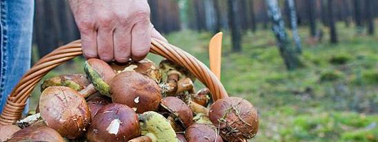 В шапке лихо набекрень