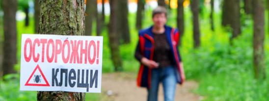 Жертвы кровососов