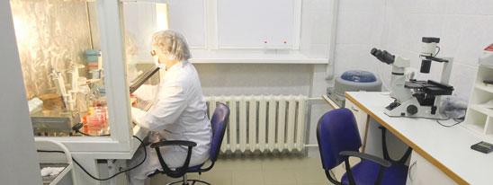 Сердце из пробирки