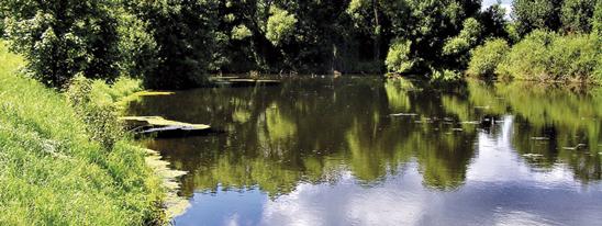 КРАСНЫЙ БЕРЕГ