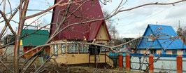 Весне все дачники покорны