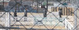 Время «Волчьих нор»