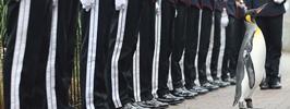 7 вопросов - 7 ответов