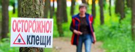 Жертвы кровососов