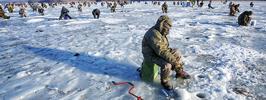 Пойти, чтобы... не вернуться?