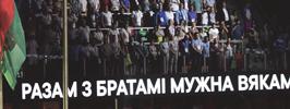 Друзья всегда рядом
