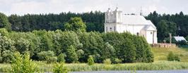 В поисках сокровищ: ВИШНЕВО