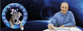 Новый год будет скорее похож на зебру, чем на собаку