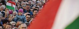 Рапсодия для Брюсселя