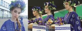 Сюрприз в ромашках и васильках
