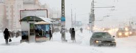 Красный сигнал белой бури