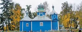 В тени вековых дубов